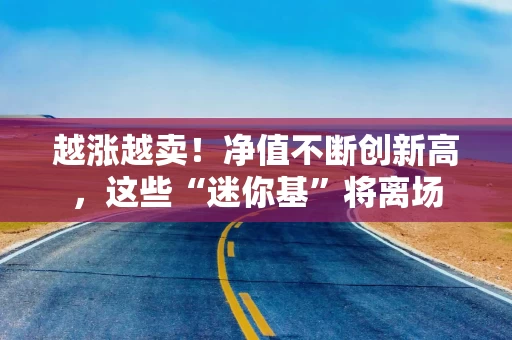 越涨越卖！净值不断创新高，这些“迷你基”将离场
