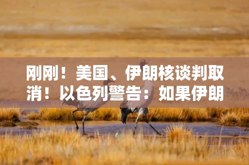 刚刚！美国、伊朗核谈判取消！以色列警告：如果伊朗继续袭击 德黑兰将被烧毁