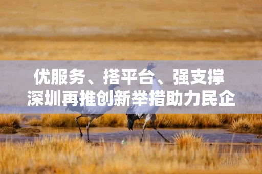 优服务、搭平台、强支撑 深圳再推创新举措助力民企开辟国际市场“新蓝海”
