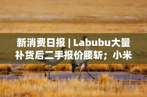 新消费日报 | Labubu大量补货后二手报价腰斩；小米“618”全渠道支付金额突破355亿元……