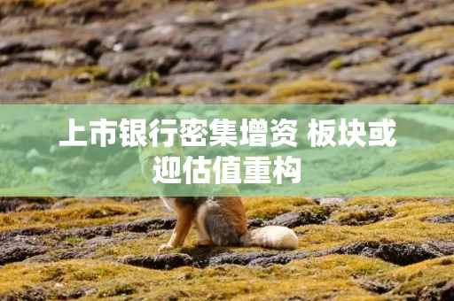 上市银行密集增资 板块或迎估值重构