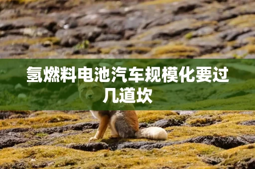 氢燃料电池汽车规模化要过几道坎