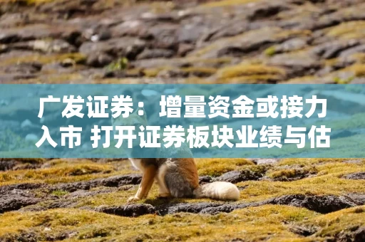 广发证券：增量资金或接力入市 打开证券板块业绩与估值空间