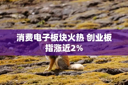 消费电子板块火热 创业板指涨近2%