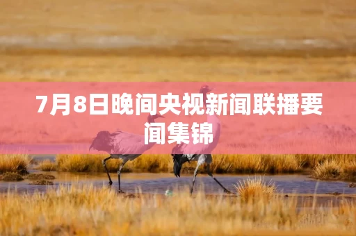 7月8日晚间央视新闻联播要闻集锦
