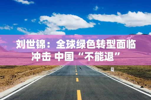 刘世锦：全球绿色转型面临冲击 中国“不能退”