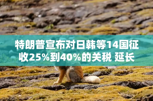 特朗普宣布对日韩等14国征收25%到40%的关税 延长“对等关税”暂缓期至8月1日