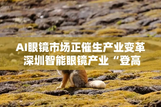 AI眼镜市场正催生产业变革 深圳智能眼镜产业“登高望远”