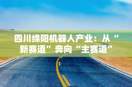 四川绵阳机器人产业：从“新赛道”奔向“主赛道”