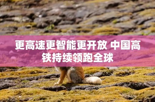 更高速更智能更开放 中国高铁持续领跑全球