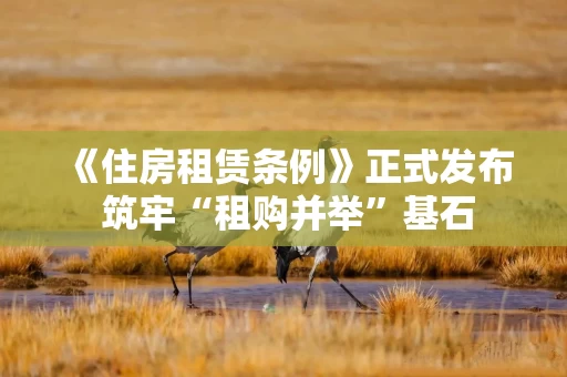 《住房租赁条例》正式发布 筑牢“租购并举”基石