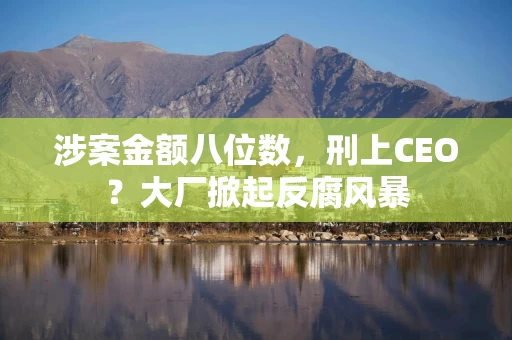 涉案金额八位数，刑上CEO？大厂掀起反腐风暴