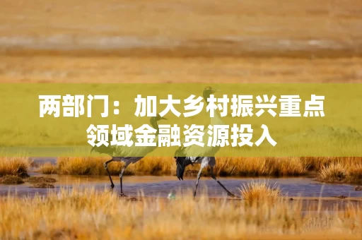 两部门：加大乡村振兴重点领域金融资源投入