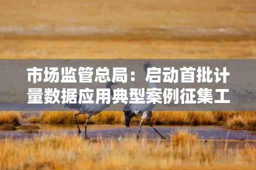 市场监管总局：启动首批计量数据应用典型案例征集工作