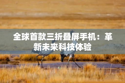 全球首款三折叠屏手机：革新未来科技体验