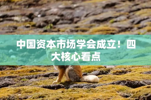 中国资本市场学会成立！四大核心看点