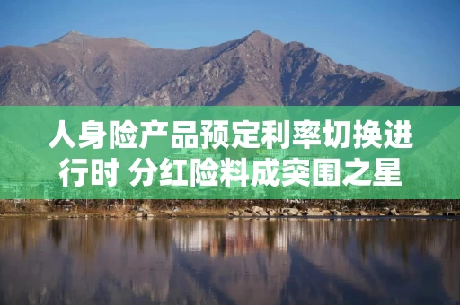 人身险产品预定利率切换进行时 分红险料成突围之星