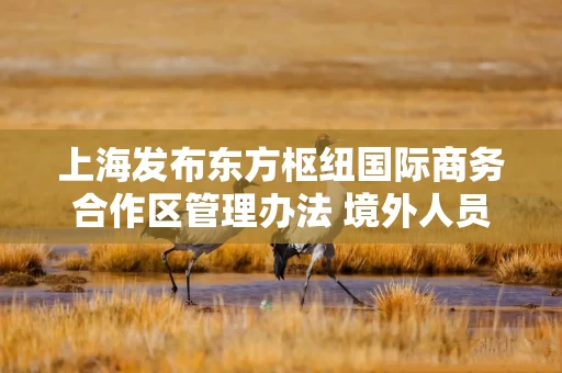 上海发布东方枢纽国际商务合作区管理办法 境外人员在区内开展商务活动可停留30天