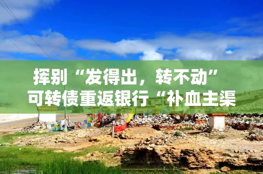 挥别“发得出，转不动” 可转债重返银行“补血主渠道”