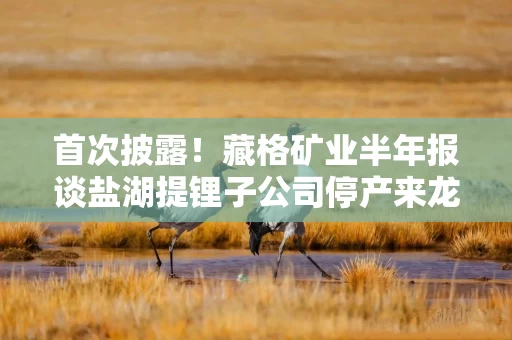 首次披露！藏格矿业半年报谈盐湖提锂子公司停产来龙去脉，称并未违规