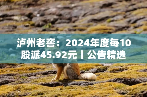 泸州老窖：2024年度每10股派45.92元丨公告精选