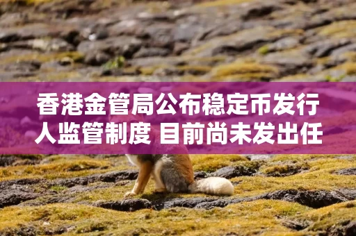香港金管局公布稳定币发行人监管制度 目前尚未发出任何牌照