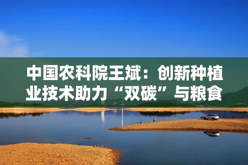 中国农科院王斌：创新种植业技术助力“双碳”与粮食安全协同发展