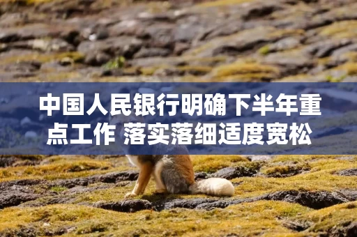 中国人民银行明确下半年重点工作 落实落细适度宽松货币政策