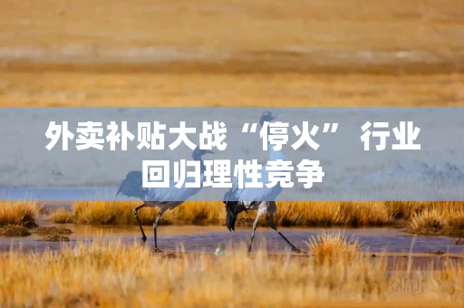 外卖补贴大战“停火” 行业回归理性竞争