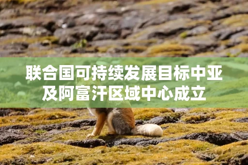 联合国可持续发展目标中亚及阿富汗区域中心成立