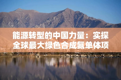 能源转型的中国力量：实探全球最大绿色合成氨单体项目
