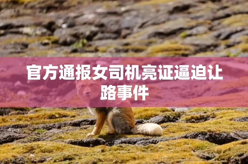 官方通报女司机亮证逼迫让路事件