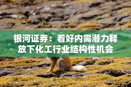 银河证券：看好内需潜力释放下化工行业结构性机会
