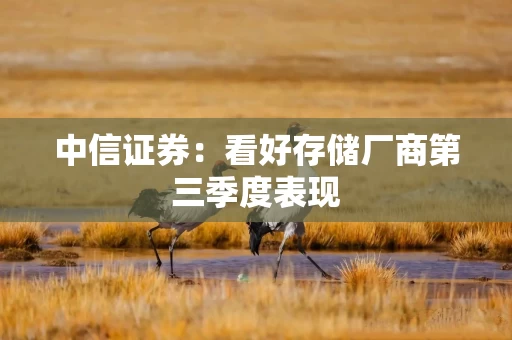 中信证券：看好存储厂商第三季度表现