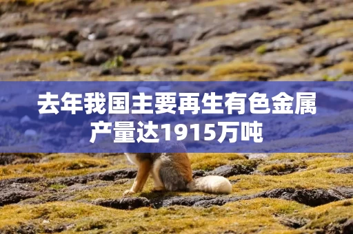 去年我国主要再生有色金属产量达1915万吨