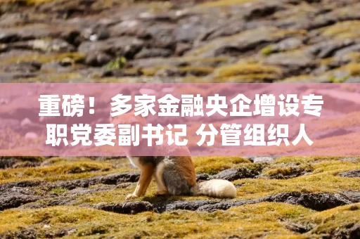 重磅！多家金融央企增设专职党委副书记 分管组织人事工作