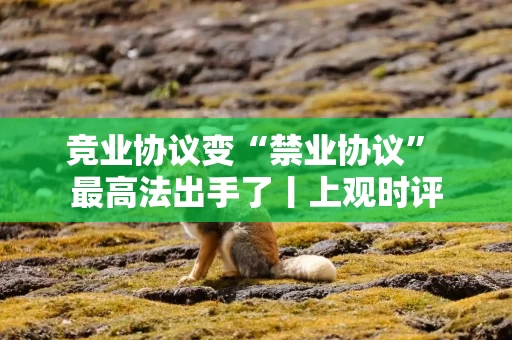 竞业协议变“禁业协议” 最高法出手了丨上观时评