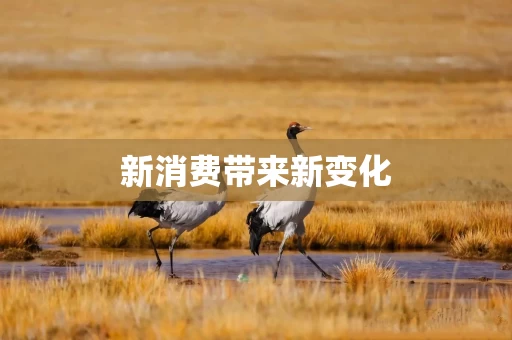 新消费带来新变化