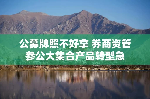 公募牌照不好拿 券商资管参公大集合产品转型急