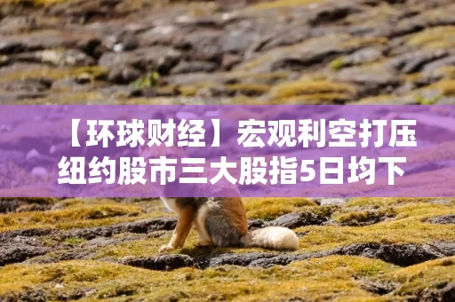 【环球财经】宏观利空打压 纽约股市三大股指5日均下跌
