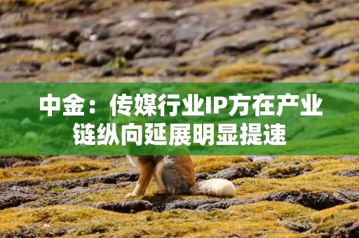 中金：传媒行业IP方在产业链纵向延展明显提速