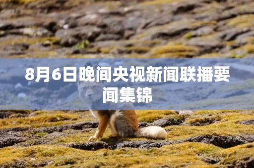 8月6日晚间央视新闻联播要闻集锦