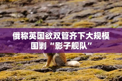 俄称英国欲双管齐下大规模围剿“影子舰队”