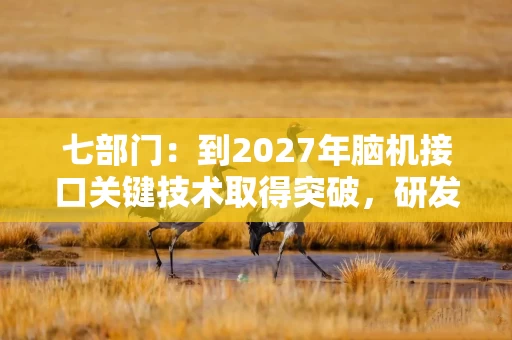 七部门：到2027年脑机接口关键技术取得突破，研发植入脑机的手术机器人——《投资早参》