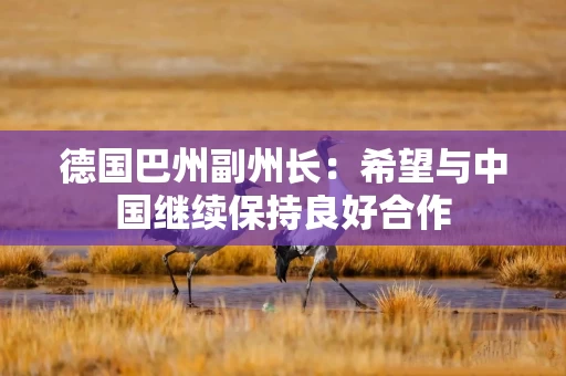 德国巴州副州长：希望与中国继续保持良好合作