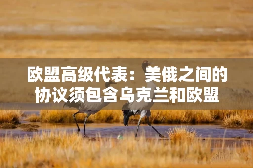 欧盟高级代表：美俄之间的协议须包含乌克兰和欧盟