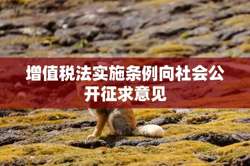 增值税法实施条例向社会公开征求意见