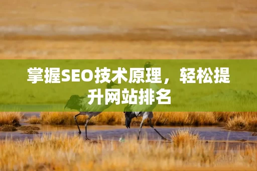 掌握SEO技术原理，轻松提升网站排名