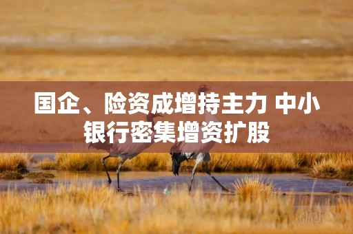 国企、险资成增持主力 中小银行密集增资扩股