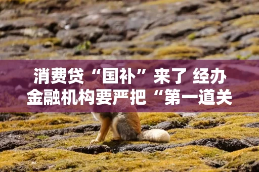 消费贷“国补”来了 经办金融机构要严把“第一道关”